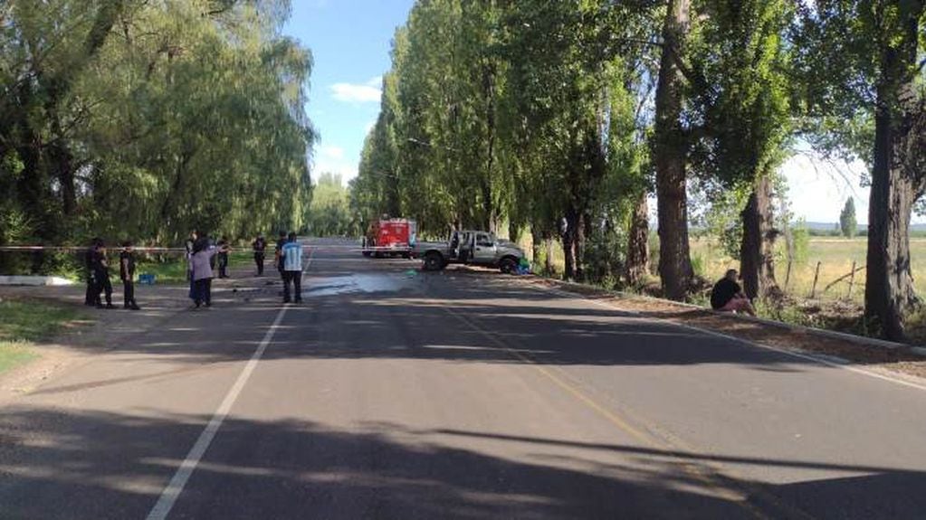 Una mujer murió tras chocar contra un árbol en Tupungato. Gentileza