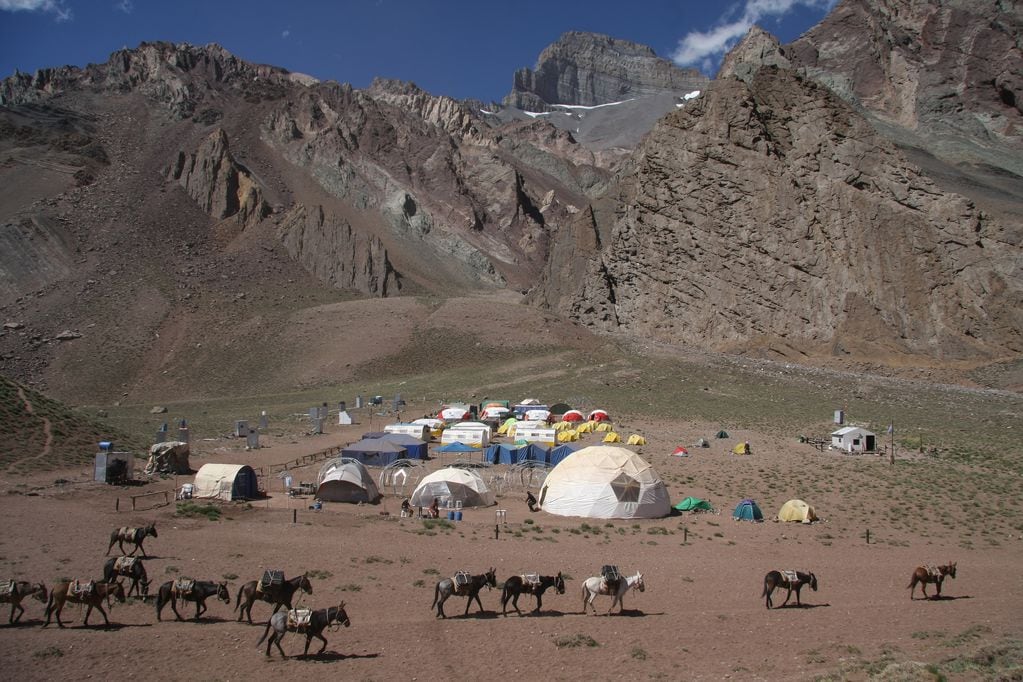 El Parque Provincial Aconcagua recibe miles de turistas cada temporada, las cuales contratan mulas para transladar sus elementos 