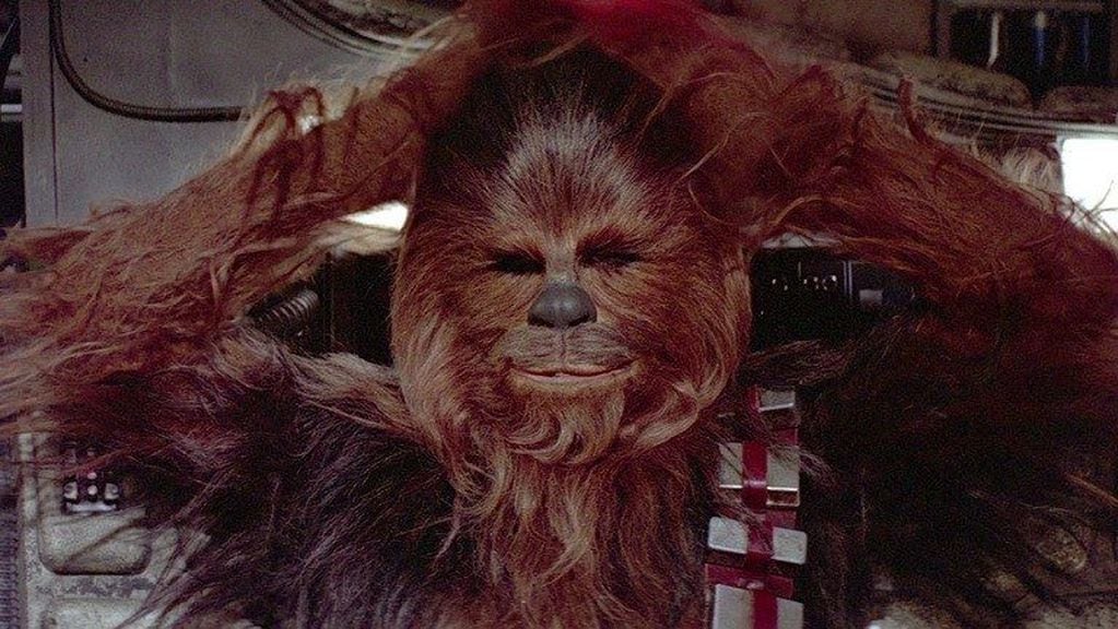 La “joda entre amigos” que terminó en viral: Con un aviso buscaban a la voz Chewbacca y recibió 150 mensajes. Foto: Archivo Los Andes.