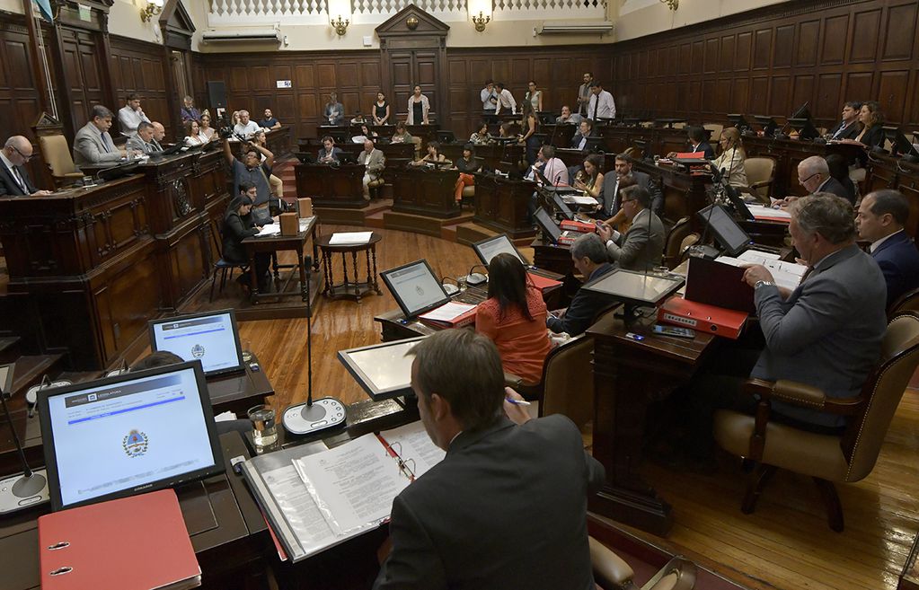 Legislatura Provincial, Cámara de Senadores, Debate por Cerro Amarillo

Foto: Orlando Pelichotti