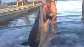 Hombre nadando con tiburon