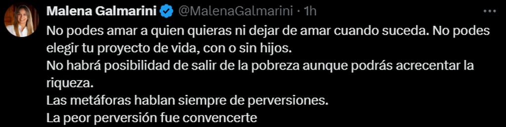 Fuertes críticas de Malena Galmarini a Javier Milei. Captura: X / @MalenaGalmarini