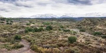 El Gobierno tiene listo el proyecto para declarar área natural protegida a los cerros del Oeste del Gran Mendoza. Mariana Villa / Los Andes