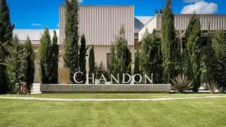 La bodega Chandon ofrece empleo: cuáles son los requisitos y cómo aplicar