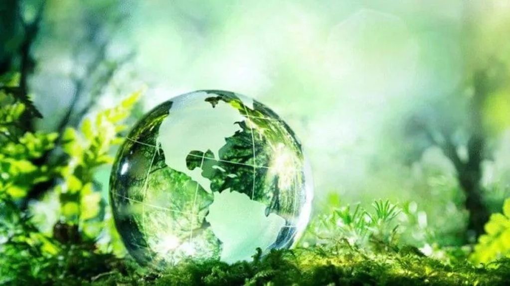 Este 5 de junio se conmemora el Día Mundial del Medio Ambiente.