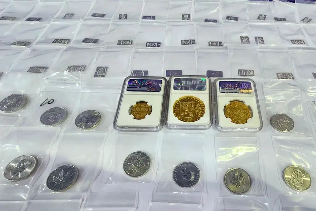 Un japonés intentó ingresar 18 monedas y 327 lingotes de platino ilegalmente por Ezeiza: “Tengo unas monedas”