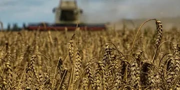 Acuerdo por el grano ucraniano