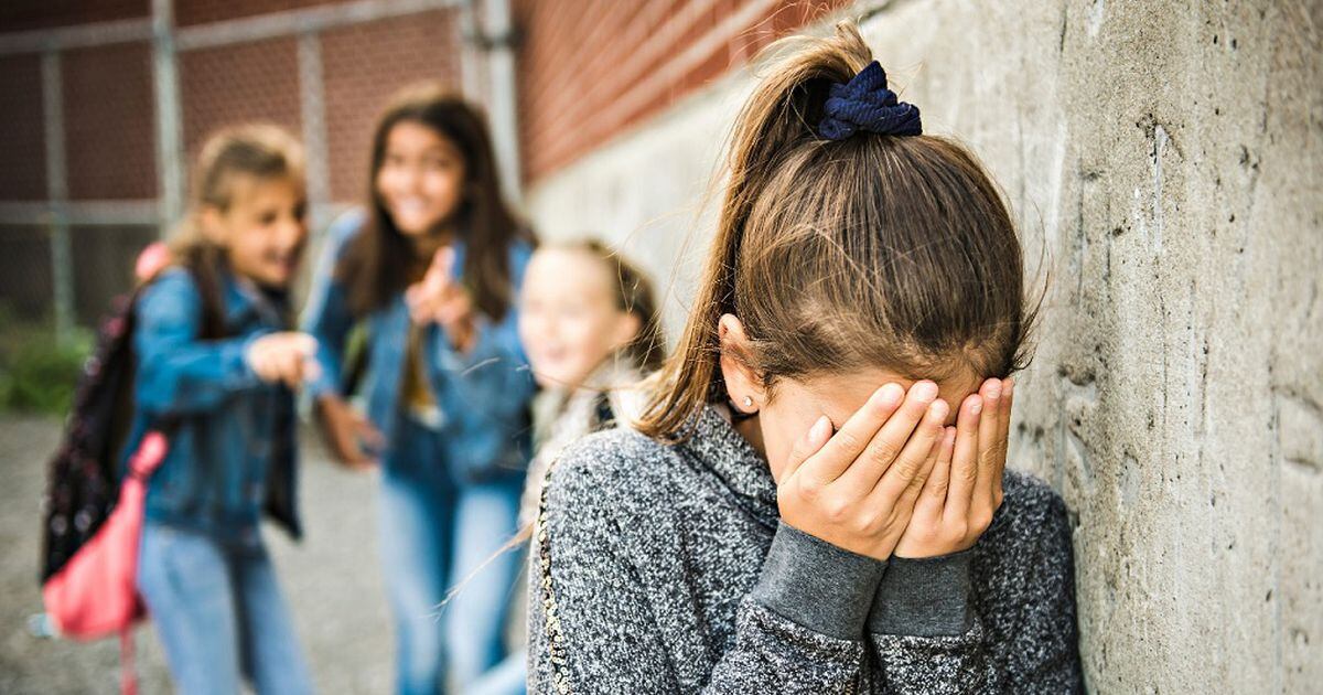 Bullying: cómo actuar ante un caso y cuál es la importancia del rol de la familia