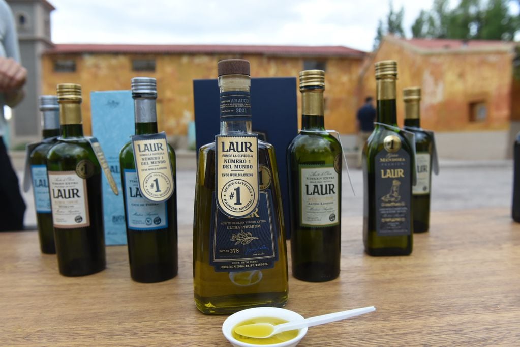 Laur es la primera olivícola ubicada fuera de Europa en encabezar el ranking de las 100 mejores del mundo. - Gentileza