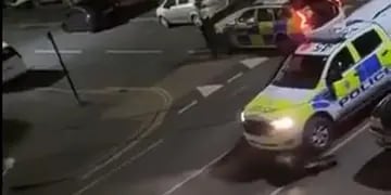 Atropellaron a una vaca en Inglaterra