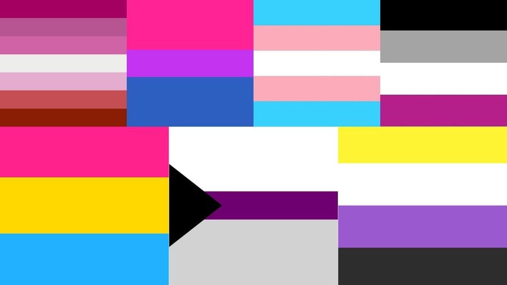 Las Banderas del Colectivo LGBTIQ+ / Ilustración Los Andes
