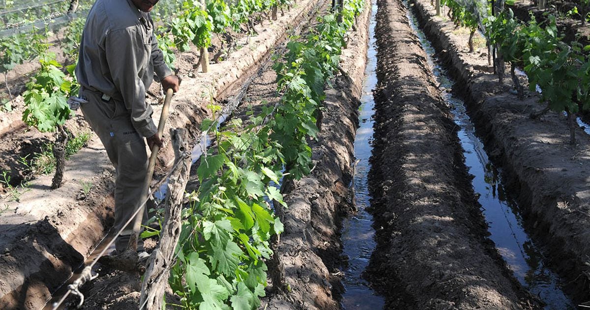 Día del Agua: cómo ahorrar el 70% en el riego y producir más