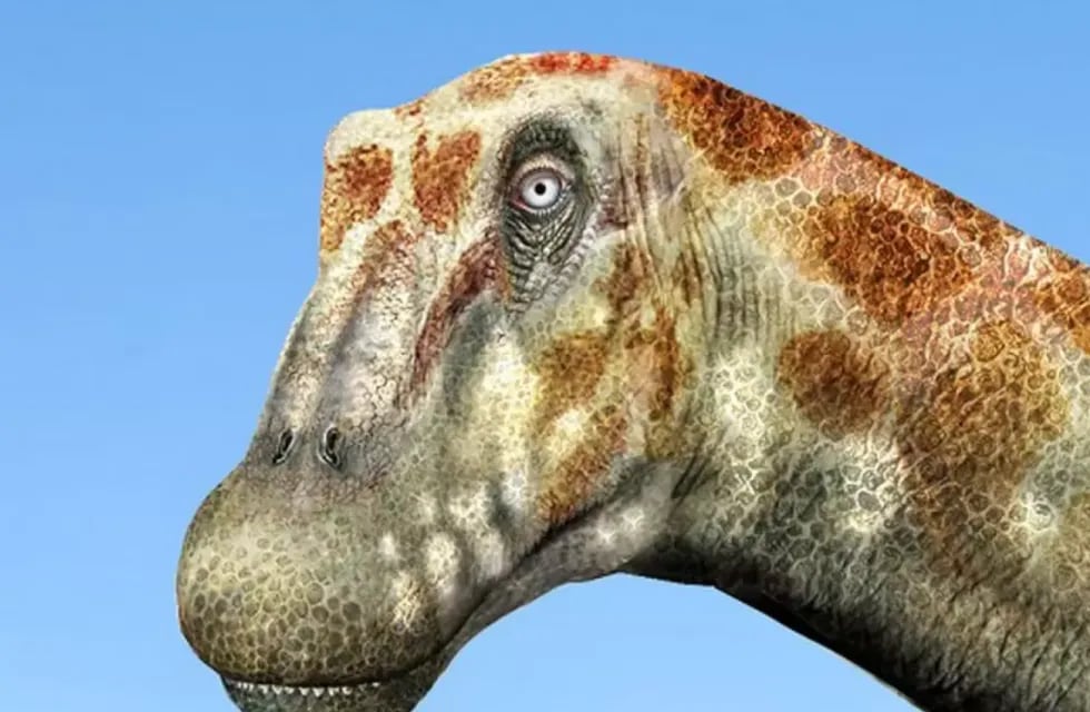 En el desierto chileno fueron hallados huesos fósiles de un nuevo dinosaurio herbívoro que ha sido denominado Arackar licanantay. Foto: Web