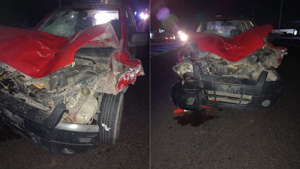 El conductor de la Ford Eco Sport tenía casi tres gramos de alcohol en sangre. - Foto: Ministerio de Seguridad y Justicia
