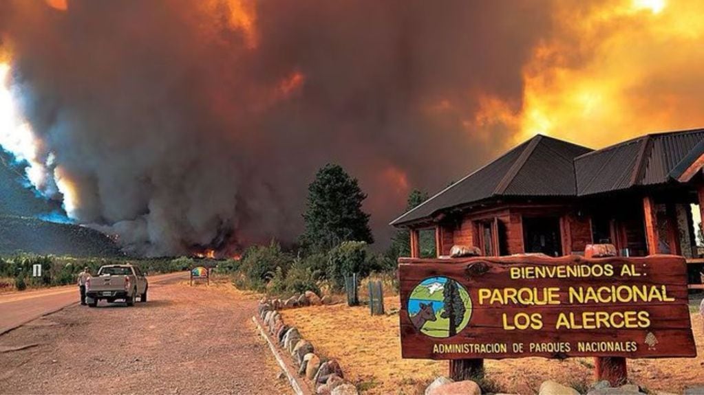 El incendio en el Parque Nacional Los Alerces comenzó el pasado jueves 25 de enero y aún no ha podido ser extinguido. Foto: Redes.