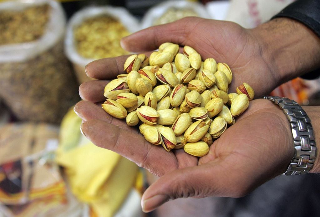 "El mercado mundial demanda pistachos para pastelería, helados, para snaks... Aunque los precios son elevados, la demanda está. Es solo cuestión de decidir si quieres formar parte de esta creciente industria", señala Jorge Urzúa.