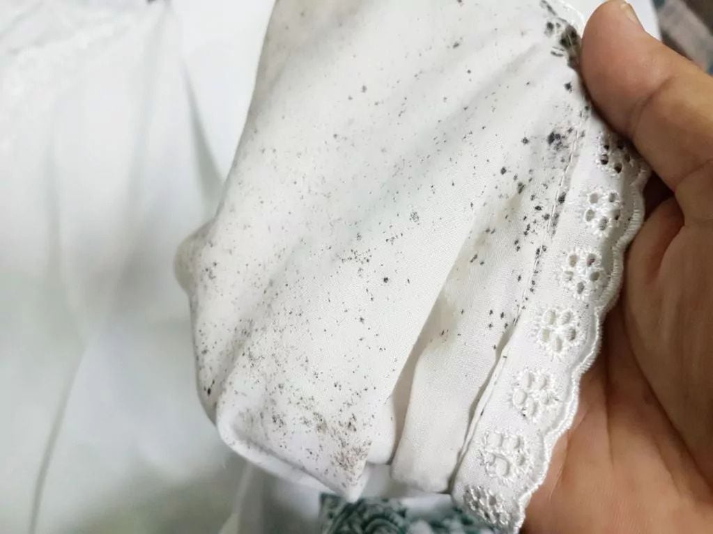 Cómo quitar las manchas de moho de la ropa