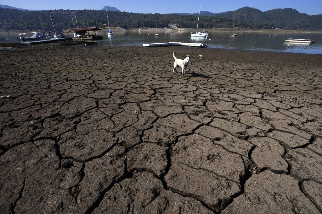 ARCHIVO - Sequía (AP Foto/Marco Ugarte, Archivo)