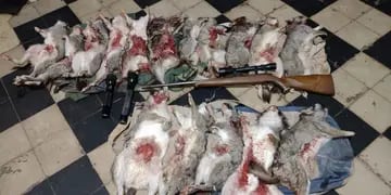 San Carlos: neutralizaron a dos cazadores con un bolso lleno de vizcachas muertas y destripadas