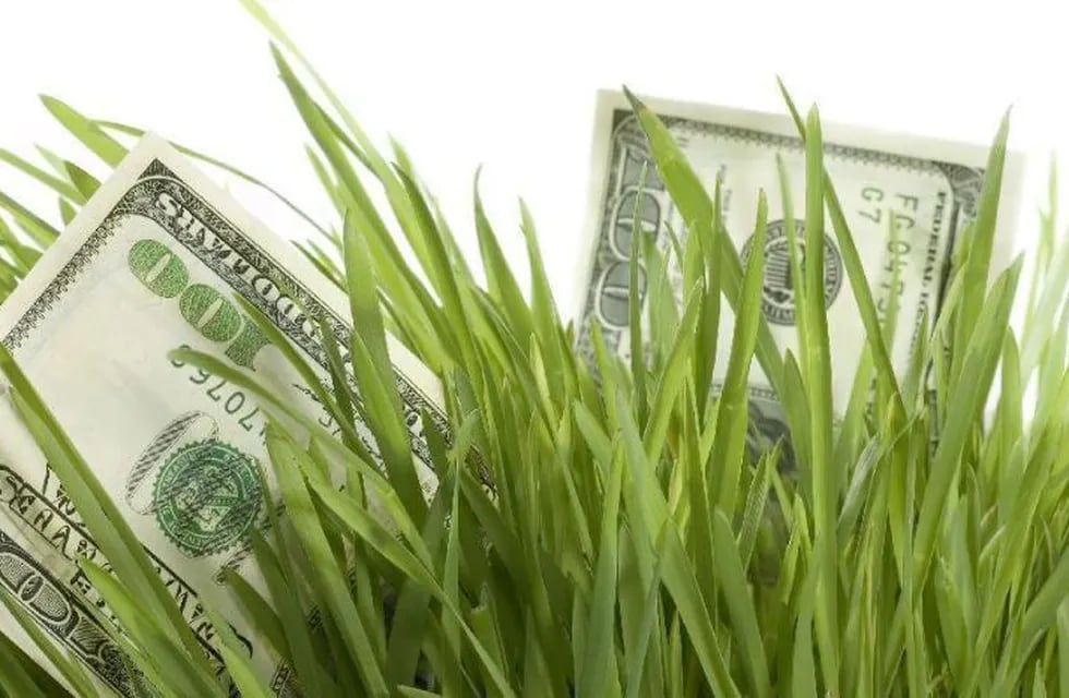 El dólar agro se lanzó el lunes 10, pero aún no está la reglamentación del programa.