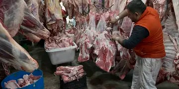 Importación de carne