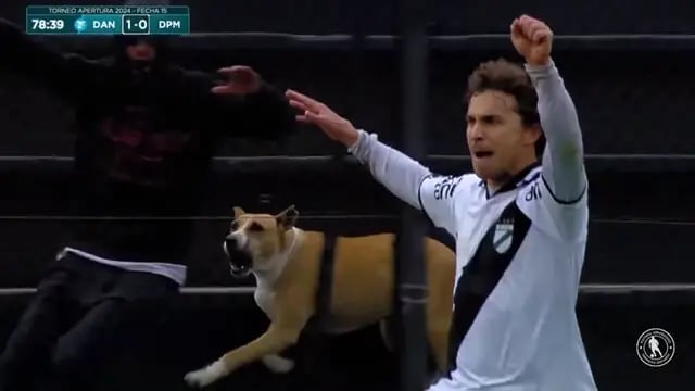 El insólito gol de un ex Banfield en Uruguay: se cayó, lo “festejó” un perro y se volvió viral