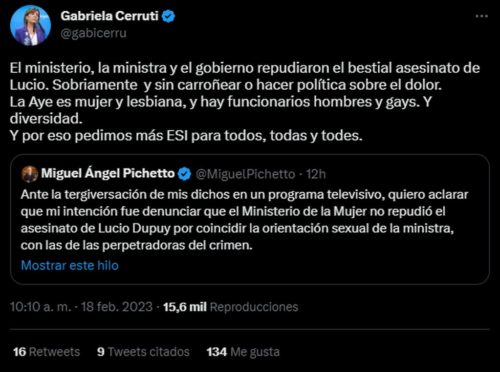 Gabriela Cerruti cuestionó las declaraciones de Pichetto. Foto: Twitter/@gabicerru