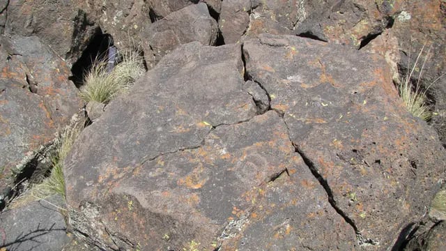Descubren arte rupestre, de hace unos 2500 años, ubicados en el Sur de Mendoza