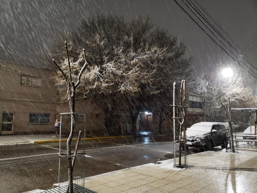 En la foto, nieve en Luján de Cuyo en julio de 2022 - Gentileza