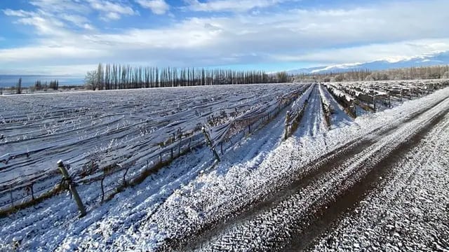 Sábado helado en Mendoza: la máxima no superará los 10 grados