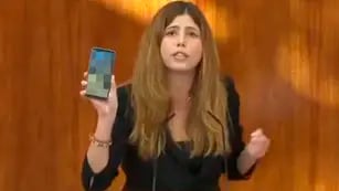 Video: una diputada mostró la foto de un pene en plena sesión para denunciar el acoso sexual digital