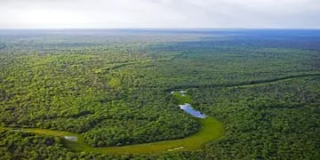 Mitigar el cambio climático desde los bosques