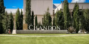 La bodega Chandon ofrece empleo: cuáles son los requisitos y cómo aplicar