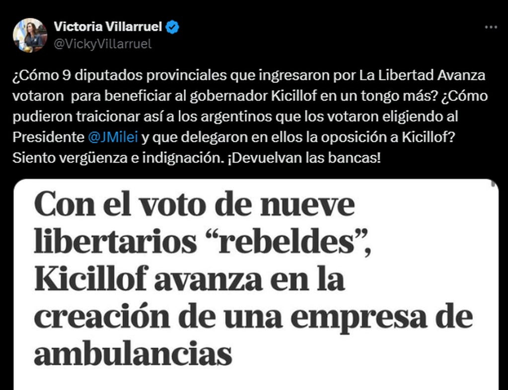 X - Victoria Villarruel