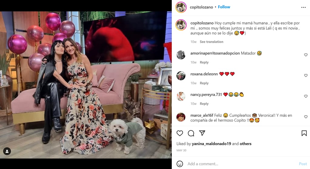 Los perros de los amosos tienen sus propias cuentas de Instagram con miles de seguidores