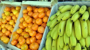 Desde 2023 bajó 50% el consumo de frutas y verduras en Mendoza. | Foto: Los Andes