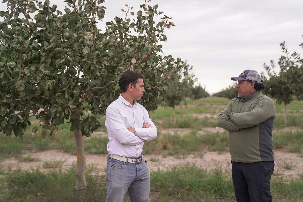 El ministro de Producción, Ariel Lucero, recorriendo las plantaciones.