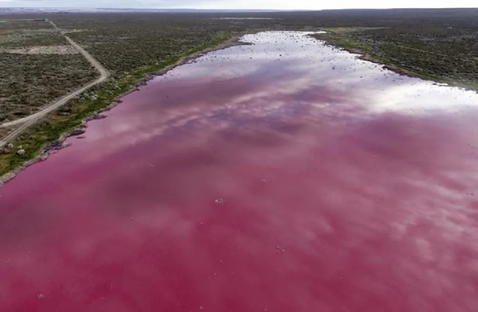 Una laguna se tiñó de rosa y apuntan al vertido de líquidos industriales.