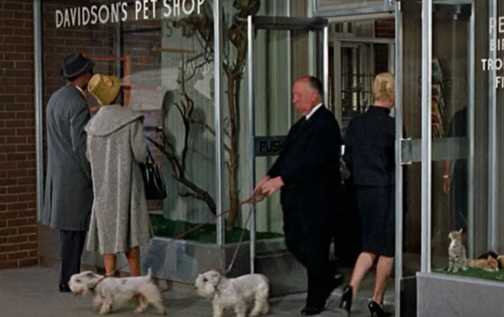 Cameo de Hitchcock y sus dos perros en Los pájaros (1963).