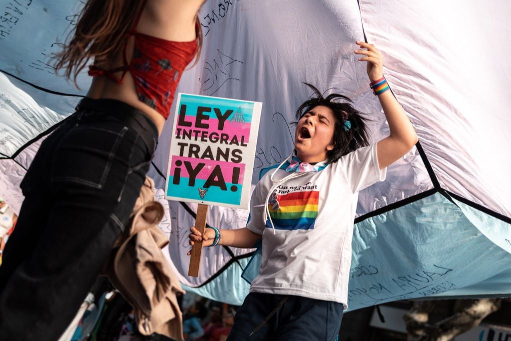 Se reclamó por la sanción de leyes que garanticen los derechos de las personas trans.  (Gentileza: Télam)