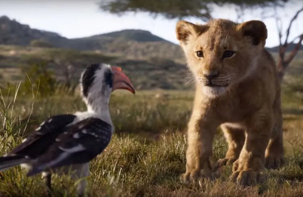 Simba, Timón y Pumba están de regreso en el nuevo tráiler de la remake de "El rey león"