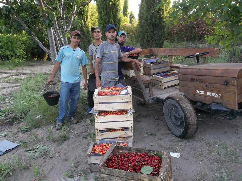 La familia Polkosnik produce cereza en Punta del Agua.