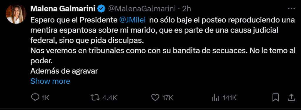 Malena Galmarini denunciará a Javier Milei. Captura: X / @MalenaGalmarini