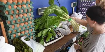 Aumento en el precio de la verdura