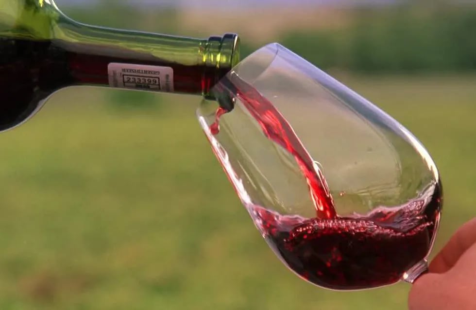 En números redondos el malbec tiene más del 60% de la participación total sobre los dólares que entran al país por exportaciones de vino.