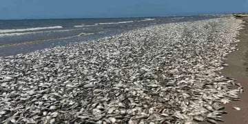 Aparecieron miles de peces muertos en una playa de Texas