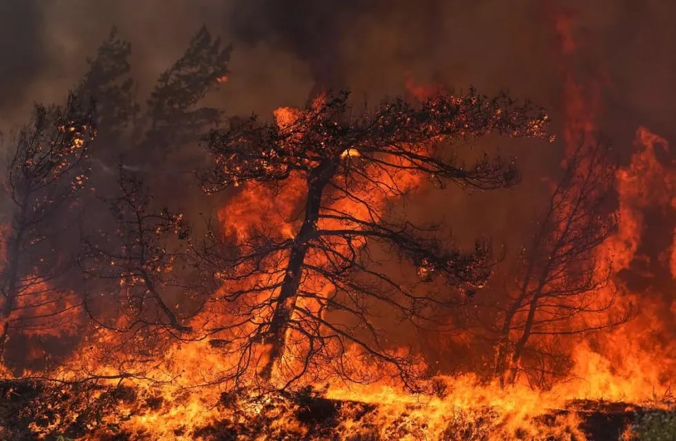 Un incendio forestal azotó una isla en Grecia.