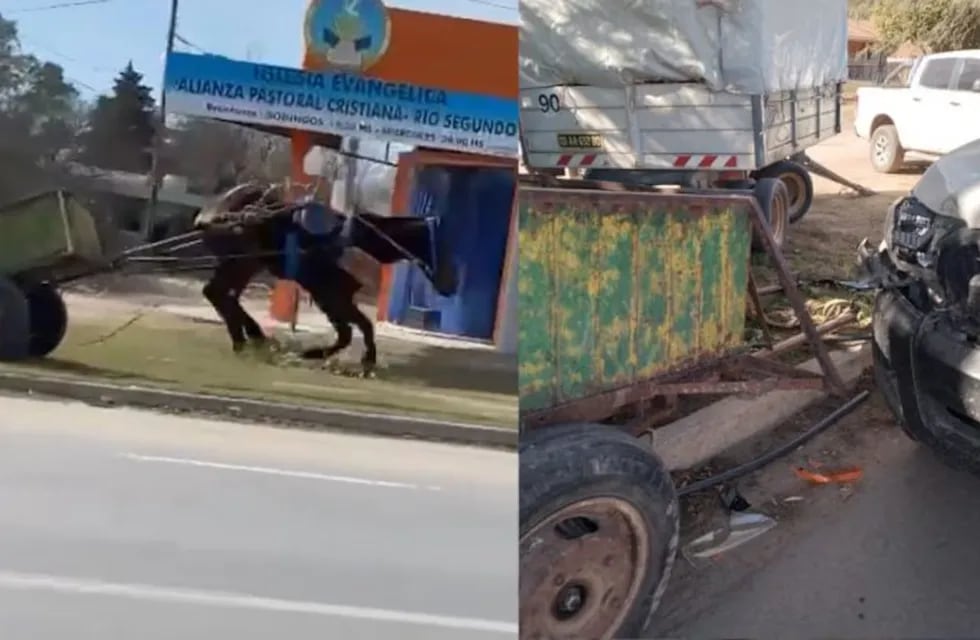 El caballo desbocado hizo caer al carrero y chocó contra una camioneta.