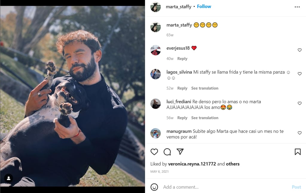 Los perros de los amosos tienen sus propias cuentas de Instagram con miles de seguidores