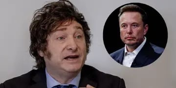 El categórico elogio de Elon Musk a Milei tras su discurso en Davos